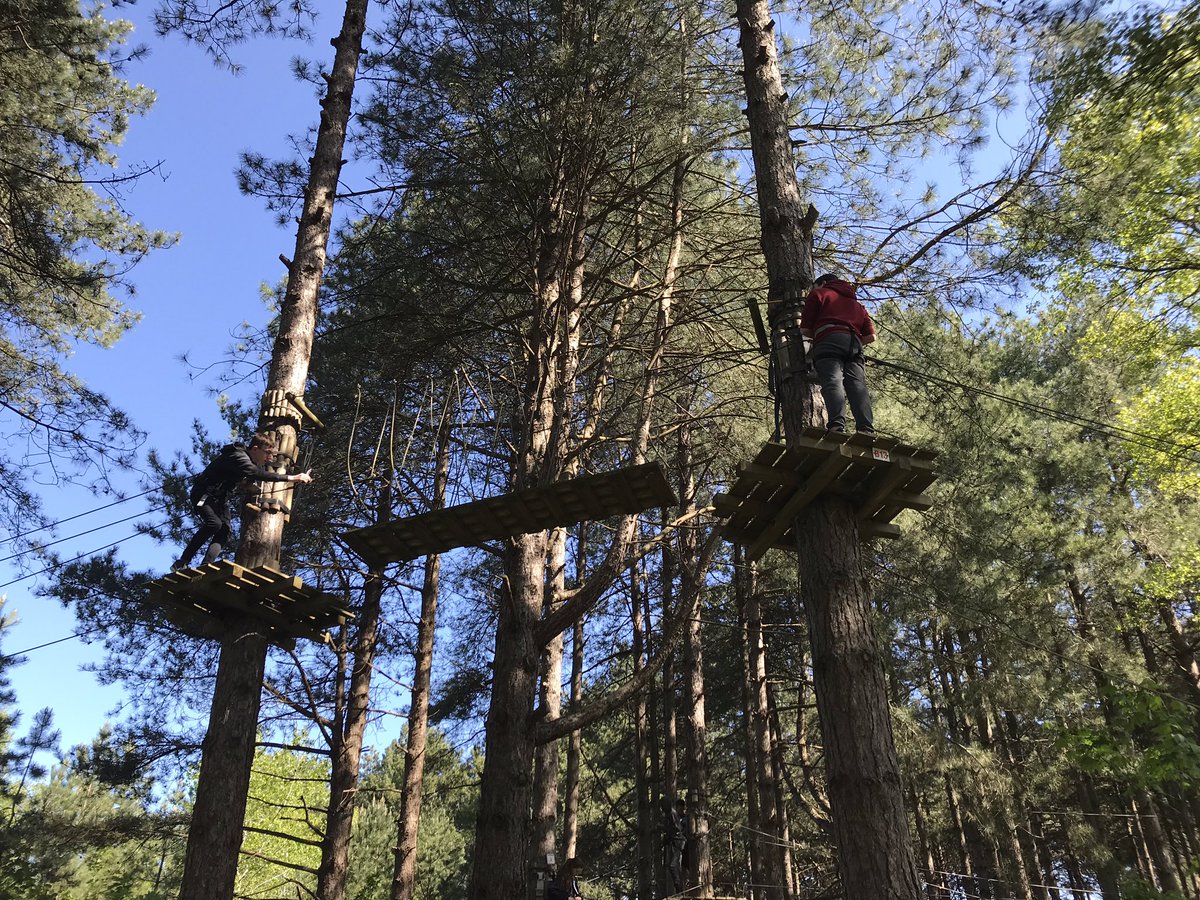 CultsAcademy's tweet photo. #CAOpalCoast19 treetop adventure! Great fun had by all! #waytoohigh #swingingthroughthetrees https://t.co/8VXzpHiRly