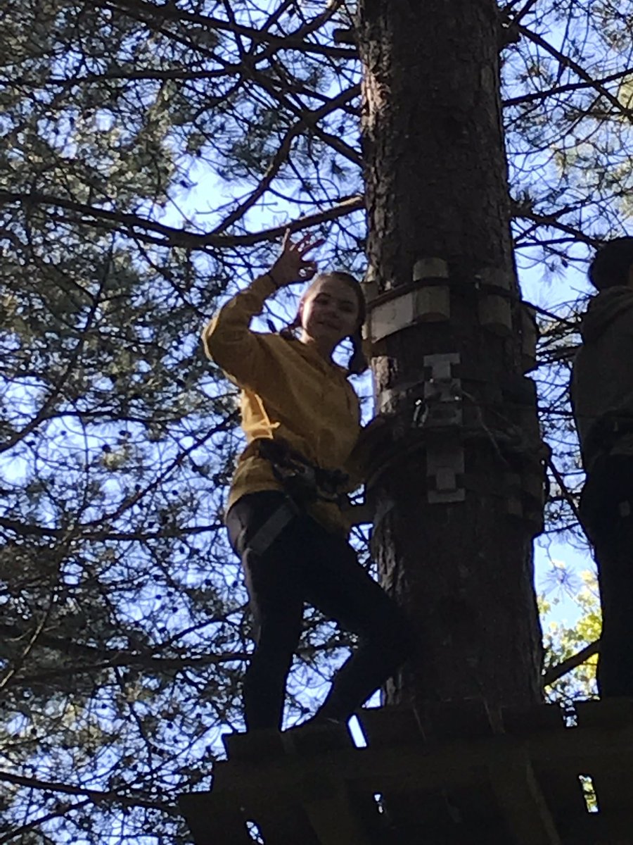 CultsAcademy's tweet photo. #CAOpalCoast19 treetop adventure! Great fun had by all! #waytoohigh #swingingthroughthetrees https://t.co/8VXzpHiRly