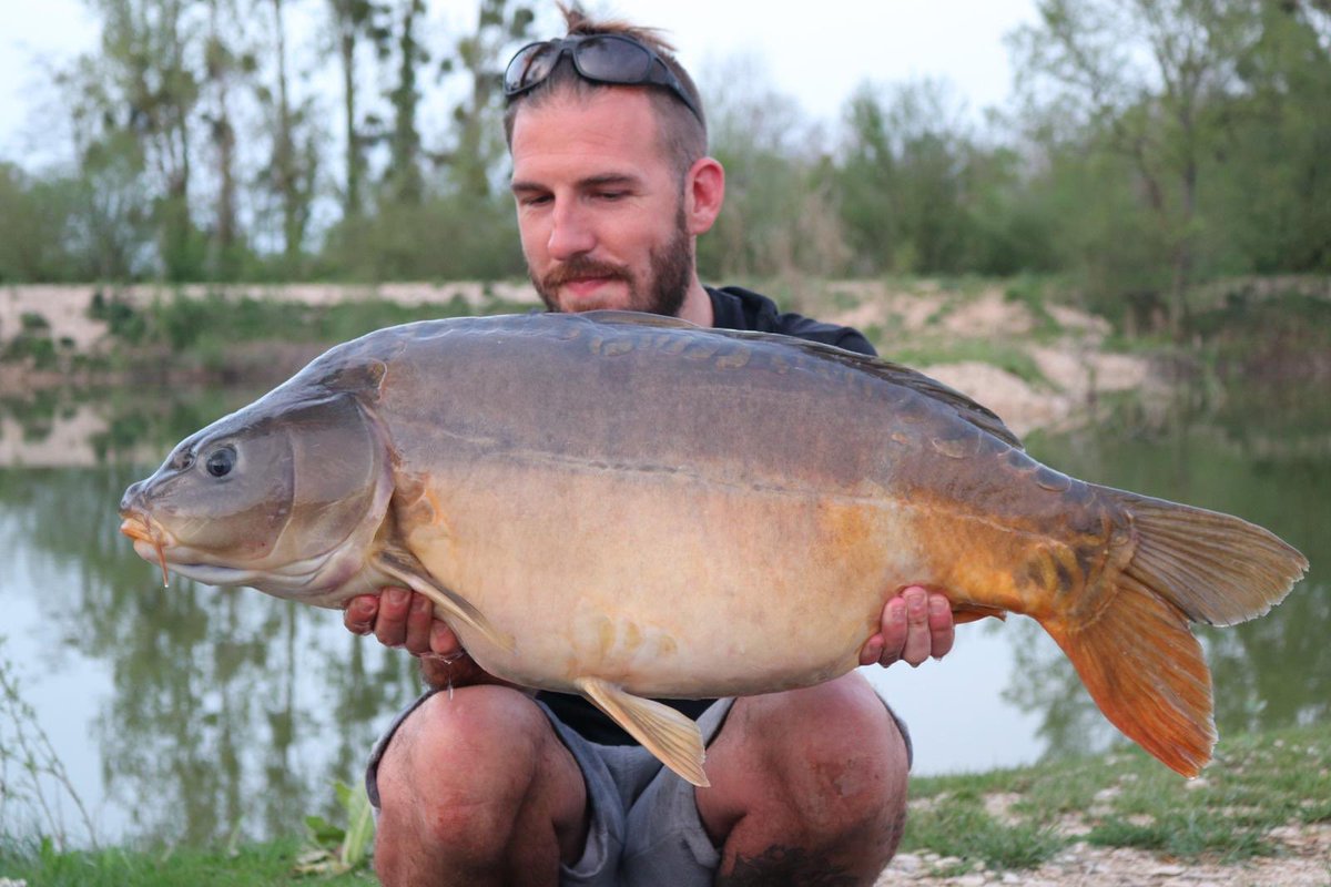 Rowe_26's tweet image. Week to remember 🇫🇷🎣
.
.
#JuvanzeLakes #MainlineBaits #Atomictackle #ReelFishingUk