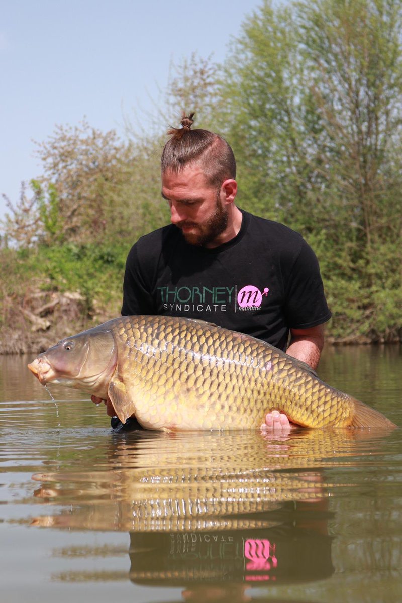 Rowe_26's tweet image. Week to remember 🇫🇷🎣
.
.
#JuvanzeLakes #MainlineBaits #Atomictackle #ReelFishingUk