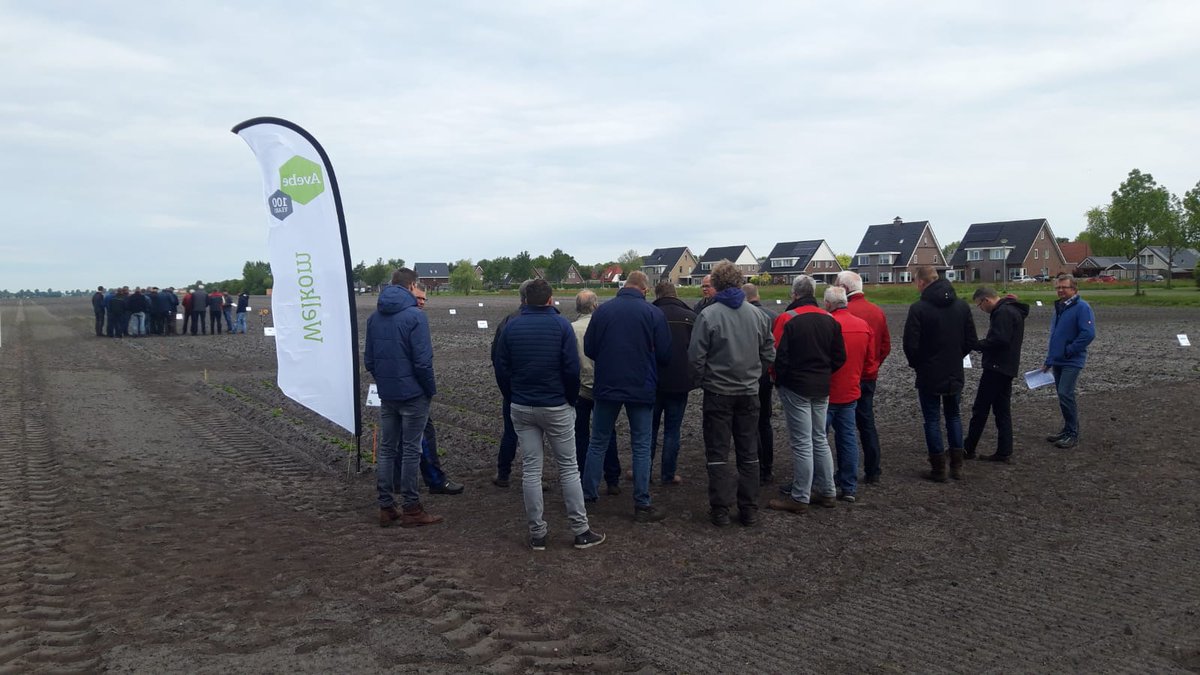 WUR_Valthermond's tweet photo. Vandaag en morgen zijn de #optimeel dagen van de @Avebe_group bij ons op het #proefbedrijf in #Valthermond. De #optimeel dagen bestaan uit rondleidingen en presentaties #rendementsverbetering #zetmeelaardappelen https://t.co/h9hXMAFDIi