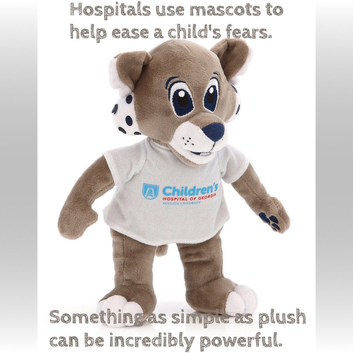 makeamascot's tweet photo. ⁦@GAChildrens⁩ https://t.co/tmCnmcX3fD