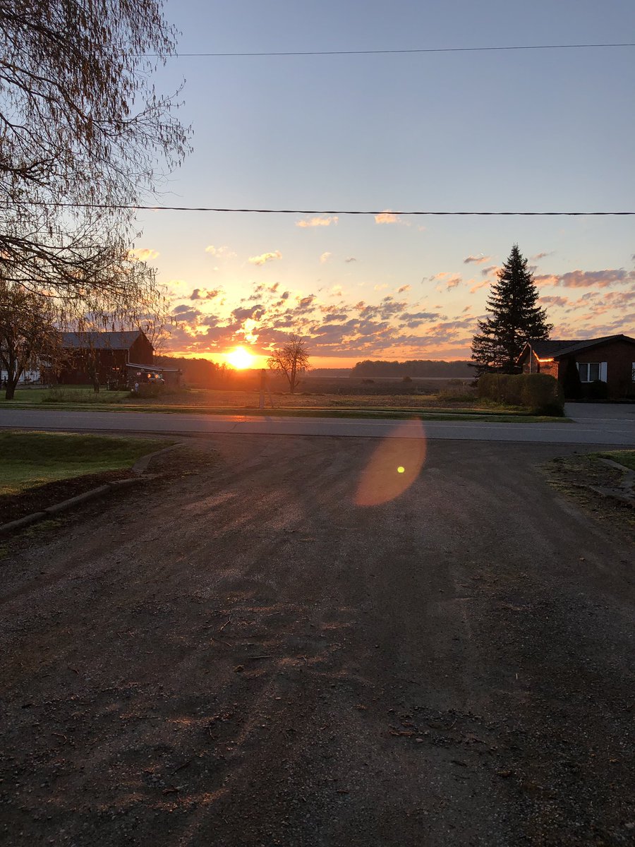 Paulvdb2016's tweet photo. Havenโt seen this for quite a while when I do my morning walk. Letโs hope it stays all day! #Plant19 #Spray19 #Spread19 #OntAg https://t.co/vnMdMcCnom