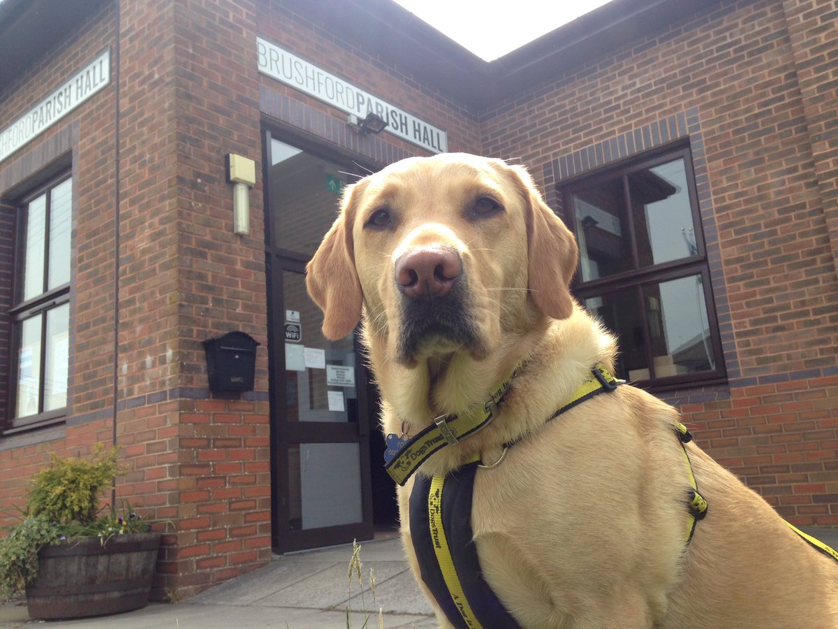 DT_Ilfracombe's tweet photo. Would you like to talk about #DyingMatters? @DT_Ilfracombe and #FoxyLab are at #Brushford Parish Hall #Exmoor today, highlighting the #CanineCareCard - a free service open to all dog owners. We look forward to seeing you there!; https://t.co/jhQpYpfuRf