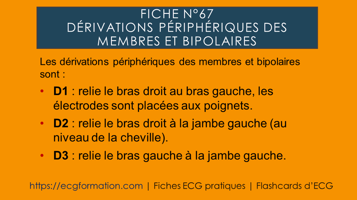 EcgFormation's tweet photo. Fiche N°67 | Dérivations périphériques des membres ET bipolaires.
#ecgformation #ecg #ekg #electrocardiogramme #cardiologie #cardio #formationecg #medecine #électrode https://t.co/QXR9JSyNSF