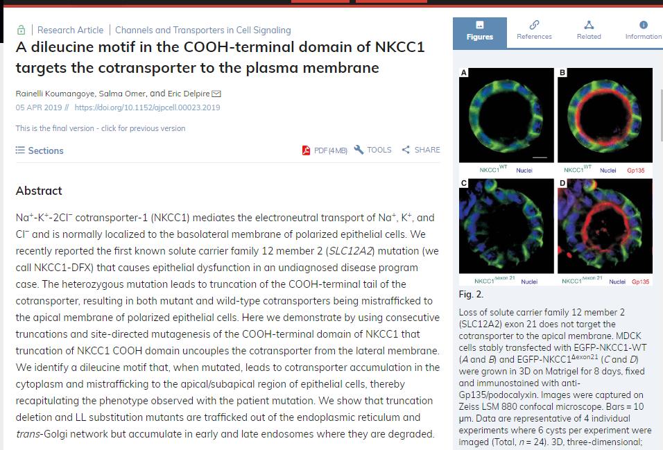 AJPCellPhys's tweet photo. Highlight: Recent papers on Transporters #PublishedinAJPCell
Read full paper: https://t.co/mZxUM7tLO9 https://t.co/BfOUCE3KKi