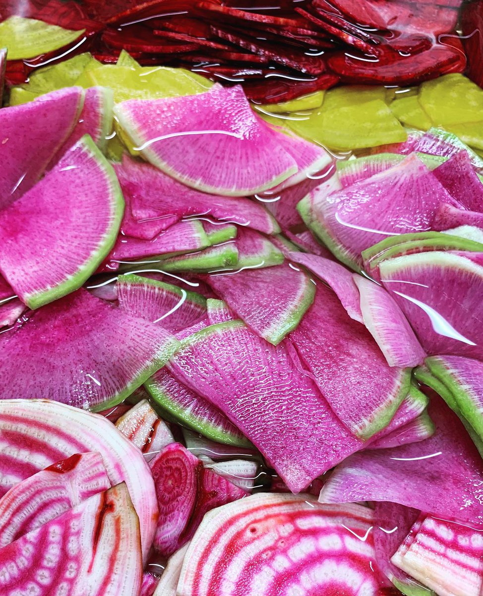 ホテルインターゲート東京 京橋 色鮮やかな三浦野菜 上から赤ビーツ 黄ビーツ 紅芯大根 うずまきビーツ