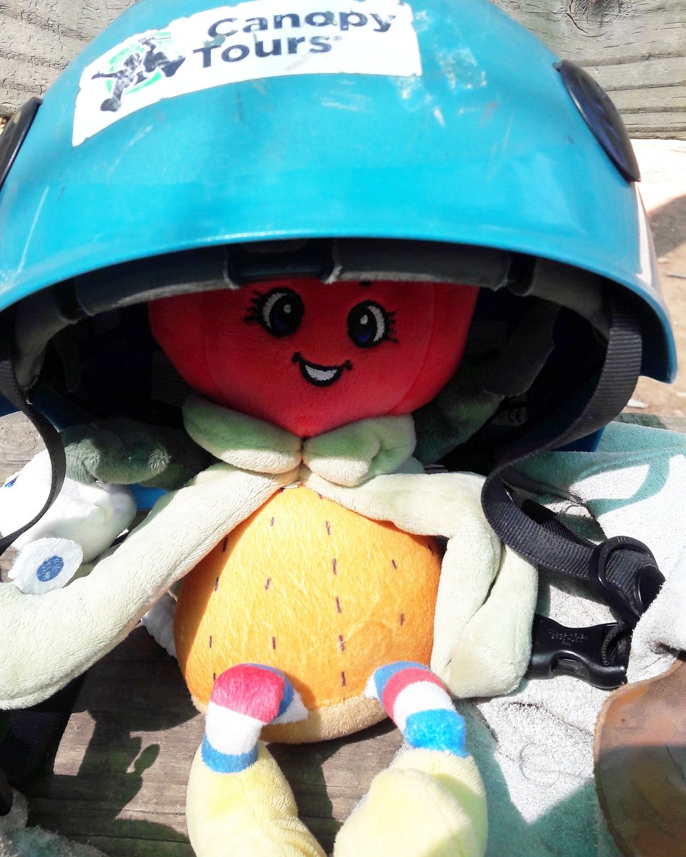TulpTilly's tweet photo. Ready to go on the #Magoebaskloof #Canopy Tour
Overlooking the spectacular Groot Letaba River gorge, the tour slides over three giant waterfalls, each tumbling up to 20 metres into the sparkling river below.
⚘🌷⚘
#globetrotter #tulip #tulips #dutch  #canopytours #southafrica https://t.co/jRpEz4QNyq