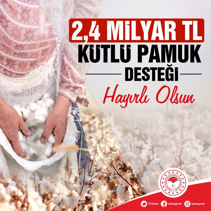 Resmi Twitter'da görüntüle