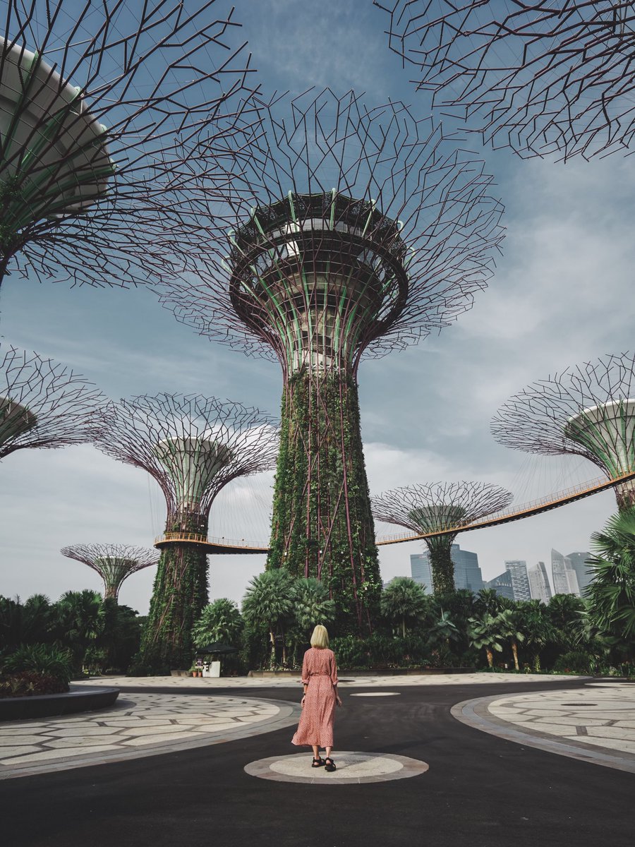 bankpyt's tweet image. “สิงคโปร์” เป็นประเทศที่ไปไม่ยากและมีสถานที่ท่องเที่ยวสวยๆเยอะมาก ผมชอบการผสมผสานระหว่างสถาปัตย์กับธรรมชาติของประเทศนี้จริงๆ คนบ้านเค้าสนใจและใส่ใจศิลปะกับธรรมชาติมาก (โลเคชั่นตามลำดับรูปนะ Fort Canning, Ministry of Communication&amp;amp;Information, Library@ochard, Garden by the bay)