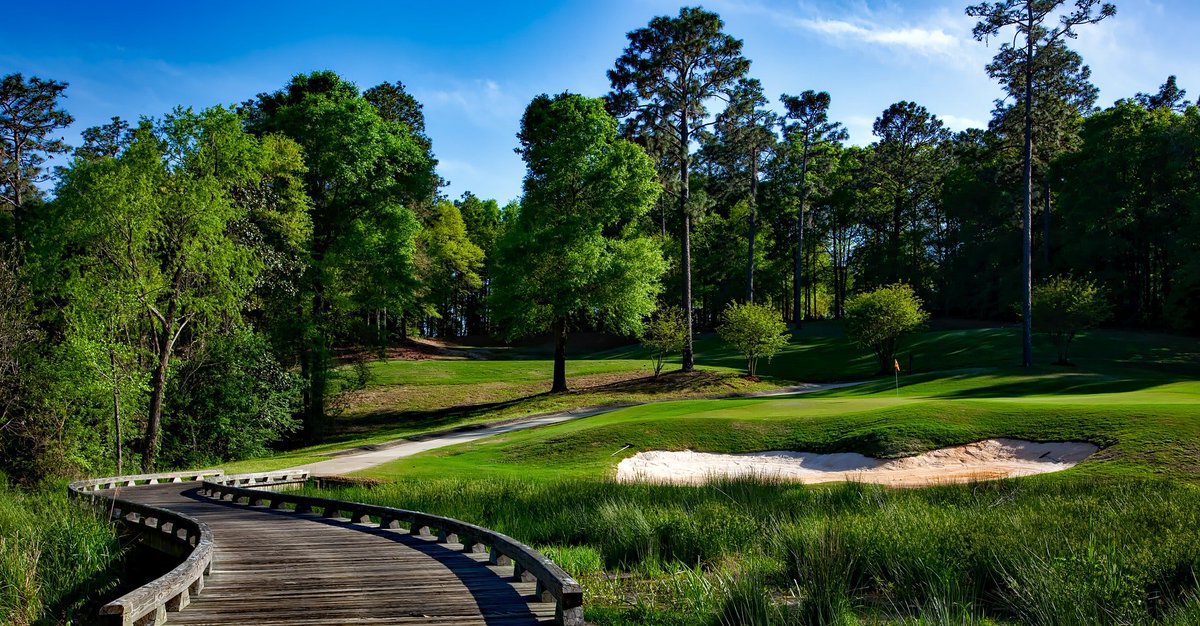 Who’s looking forward to those summer nights on the course?

Improve your game and lower your handicap with tyfo. 

#golf #golfing #PGAChamp