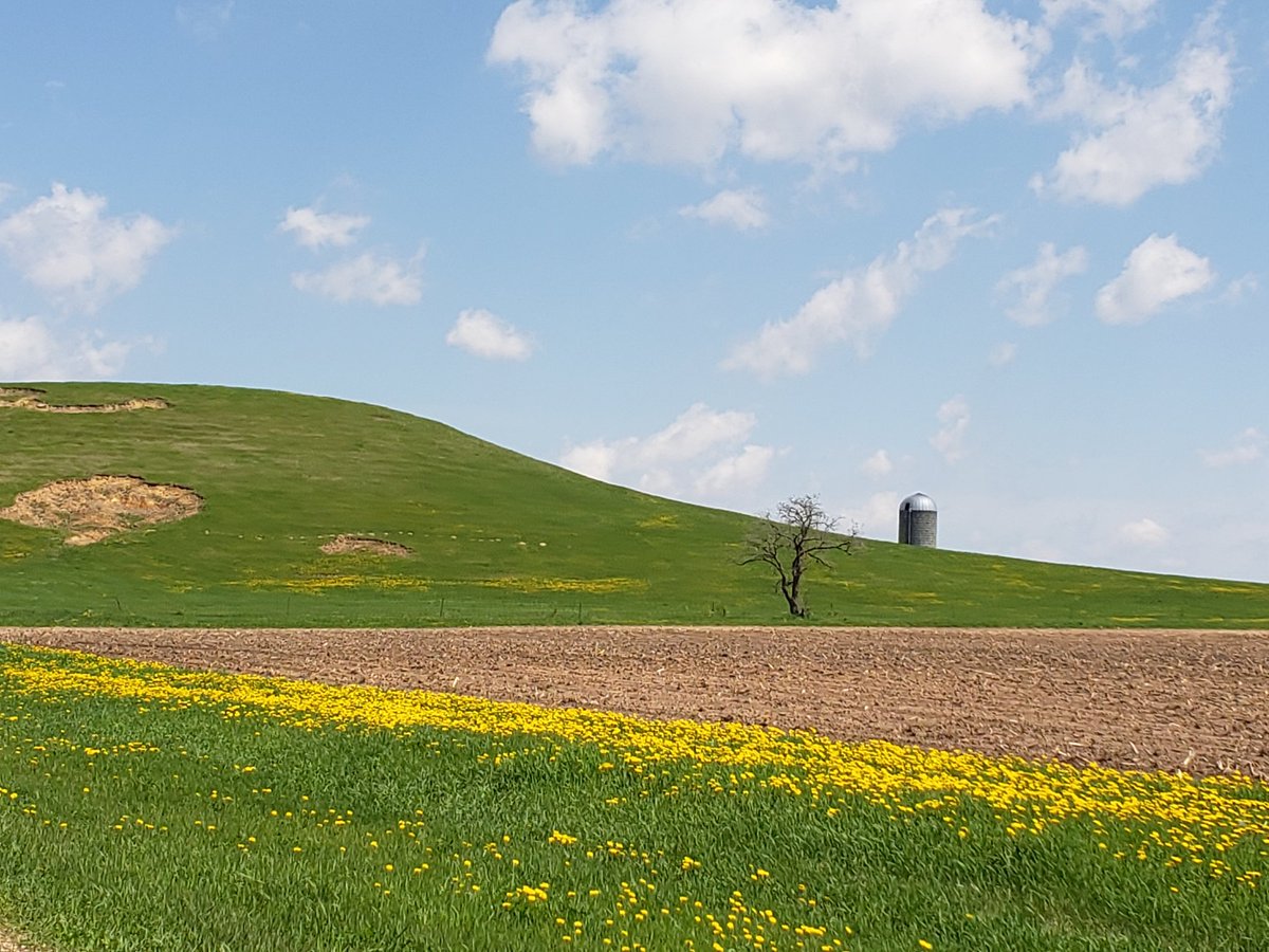 gildedquill's tweet photo. #Wisconsin,  you are rather pretty! 🛣 https://t.co/JpzLtuUt6Q #travelvlog #travel #roadtrip #silverpath https://t.co/YQq04kCHv5