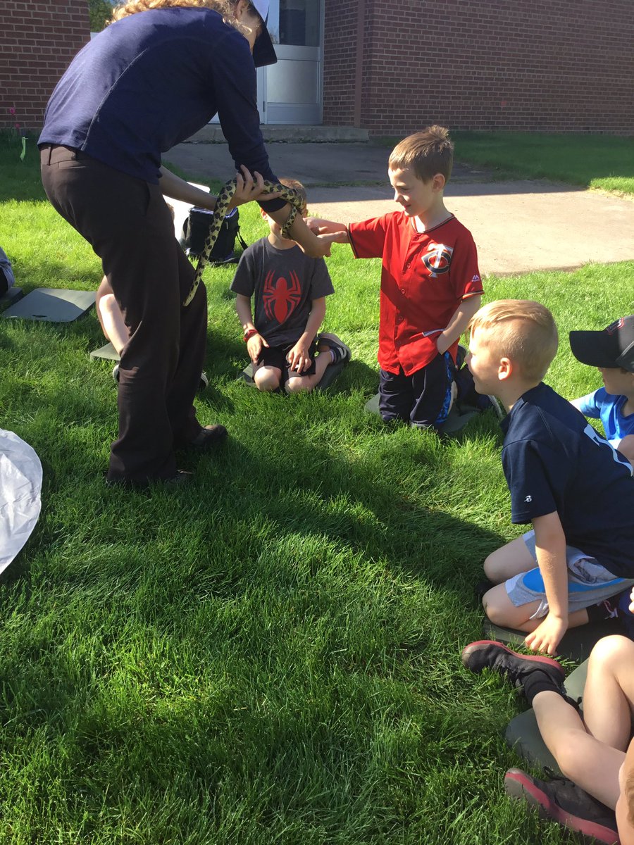 kstormopls's tweet photo. ESTEM day in 1st grade- all about reptiles and amphibians! @GrainwoodPLS https://t.co/ZoemjMC4u7