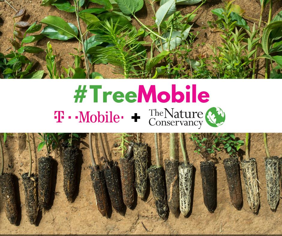 Conserve_WA's tweet photo. Happy #LoveATreeDay! Our partner @TMobile is showing their love for trees in a BIG way! 

Starting May 16 through May 22, your tweets and ‘grams that include your beau-tree-ful pics plus the #TreeMobile hashtag will help plant TEN trees for each post.

You better be-leaf it! https://t.co/ukAW4RiGMZ