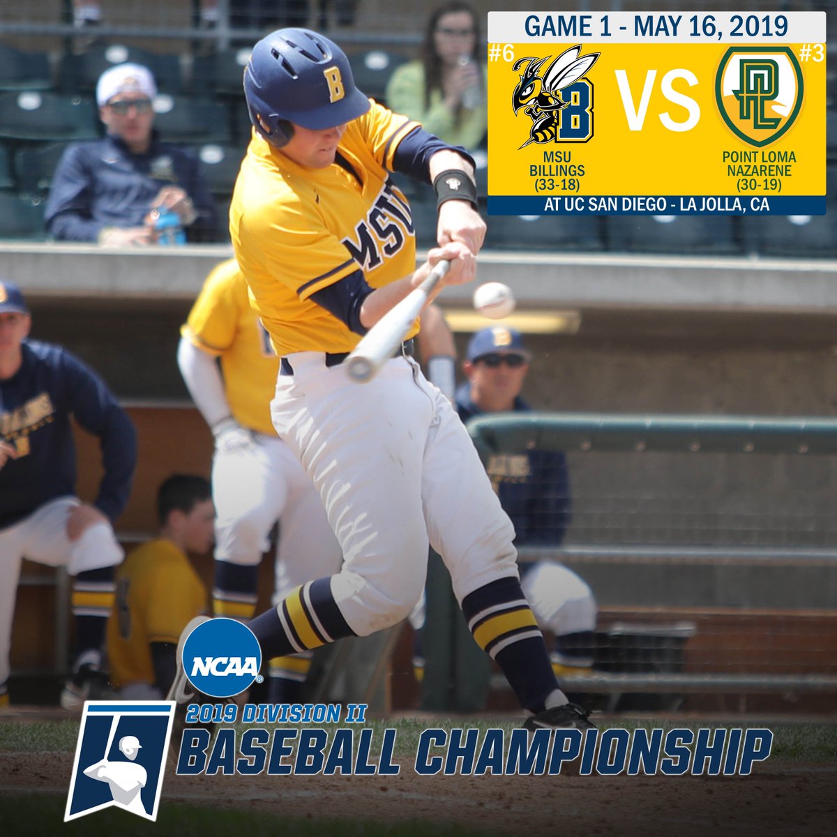 MSUB Baseball tweet media