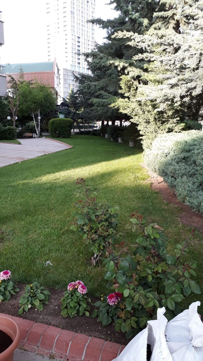 Müşterimizin çimlere uygulayacağı gübrelerini teslim ettik. Bereketli olur inşallah... #solucan #solucangübresi #ataksolucan #kırmızıkaliforniyasolucanı #kaliforniyasolucanı #organik #organic #worms #mama #kazan #kahramankazan #yenibaşlayanlar #organiktarım