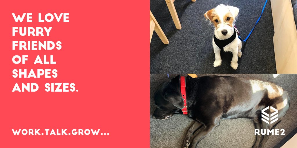 We love meeting people from all walks of life and shapes &amp; sizes and this extends to our furry friends! It's important that our members can bring their trusty companions to work and they prove to be a happiness hit for everyone! #officedogs #wellbeingatwork #coworking