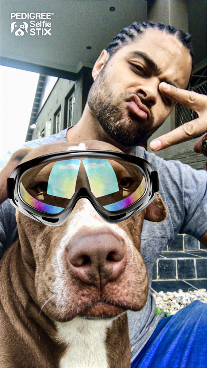 chrisjaftha's tweet photo. Hooman: smells like updawg in here!
Dawg: what’s up dawg?
Hooman: nuthin’ much wasup witchu dawg 😂😎The all new #selfiestix making it easier To selfie with your furry four legged Friends.if that wasn’t enough,#pedigreeSA have developed a new app that creates filters fo yo dawg😎 https://t.co/qN4qRjsW8Z