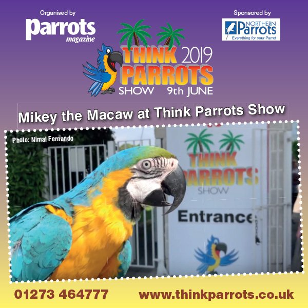 If you haven’t visited Think Parrots Show before and would like to see what it’s like, take a look at the Mikey the Macaw video taken last year. youtube.com/watch?v=hvnpim…

It’s a fun and extremely informative day out for parrot lovers. NB. there are no birds for sale.