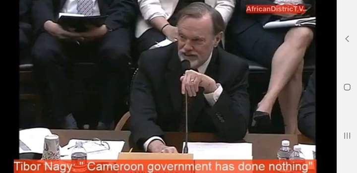 MimiMefoInfo's tweet photo. Tibor Nagy Stinks The Biya Regime Again

Here are his words “Cameroon has done nothing to resolve the conflict, The military continues to burn down villages, while armless civilians are forced to flee into the bushes.The US must redouble its efforts to see an end to the conflict” https://t.co/69npHXnRHG