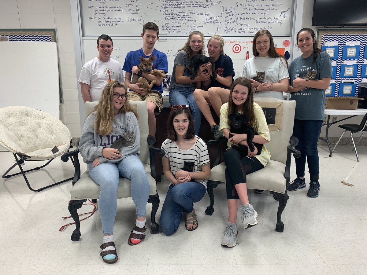 jenny ozbirn tweet media