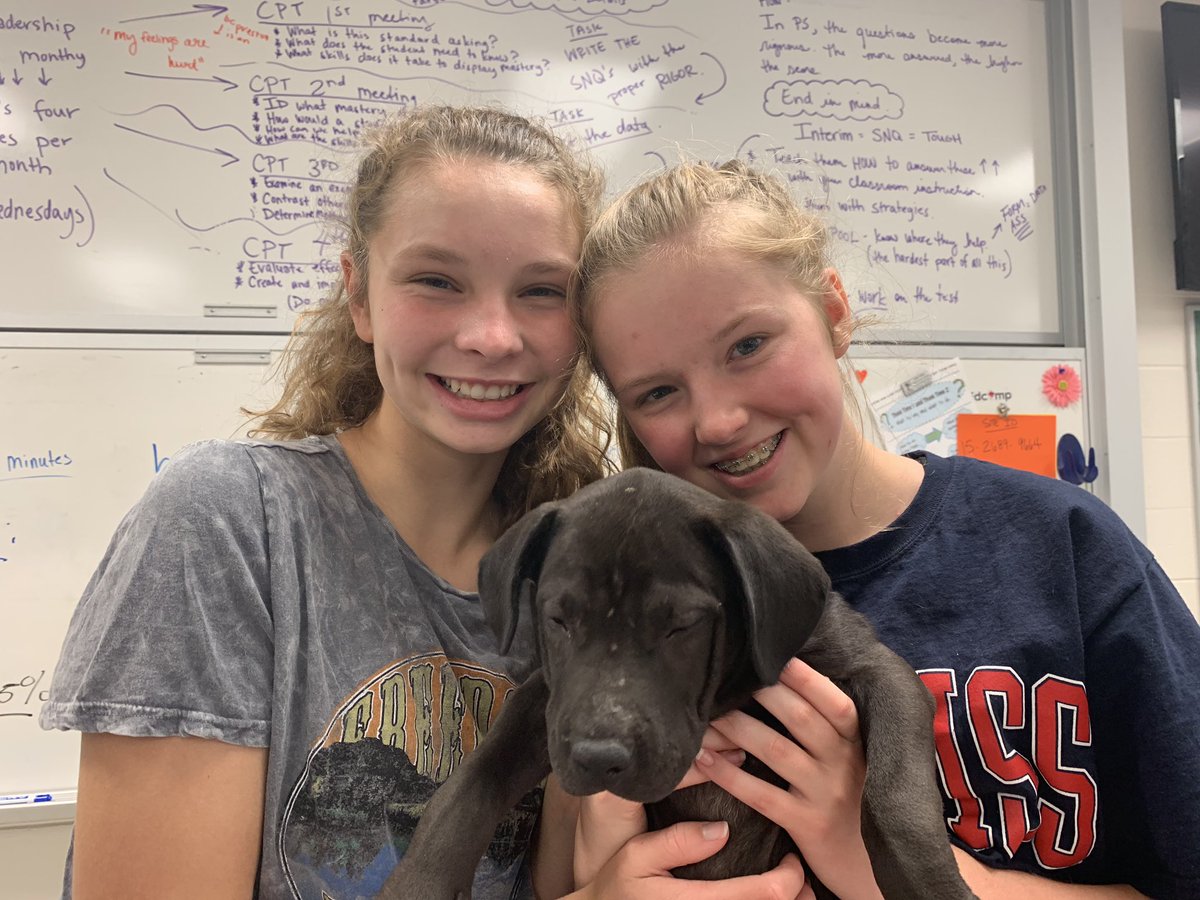 jenny ozbirn tweet media