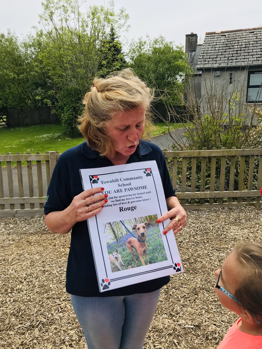 BubsyTownhill's tweet photo. Junior STF have had a wonderful day @LlysNini Animal Centre, learning all about the care they take with animals in need. We have sponsored Rouge’s kennel! What a brilliant day! #THCstf #THCtopic #outdoorlearning #RSPCA #AnimalRights https://t.co/FL59i8yYtK