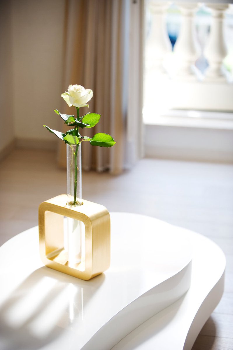 HotelExedraNice's tweet photo. 🌹 What should never miss on Vacation? At Boscolo Nice, Comfort and Courtesy, we are waiting for you. 
. 
#comfort #coutesy #luxuryhotel #boscolonice #boscolocollection #CotedAzurFrance #ILoveNice https://t.co/SULA1AkDS2