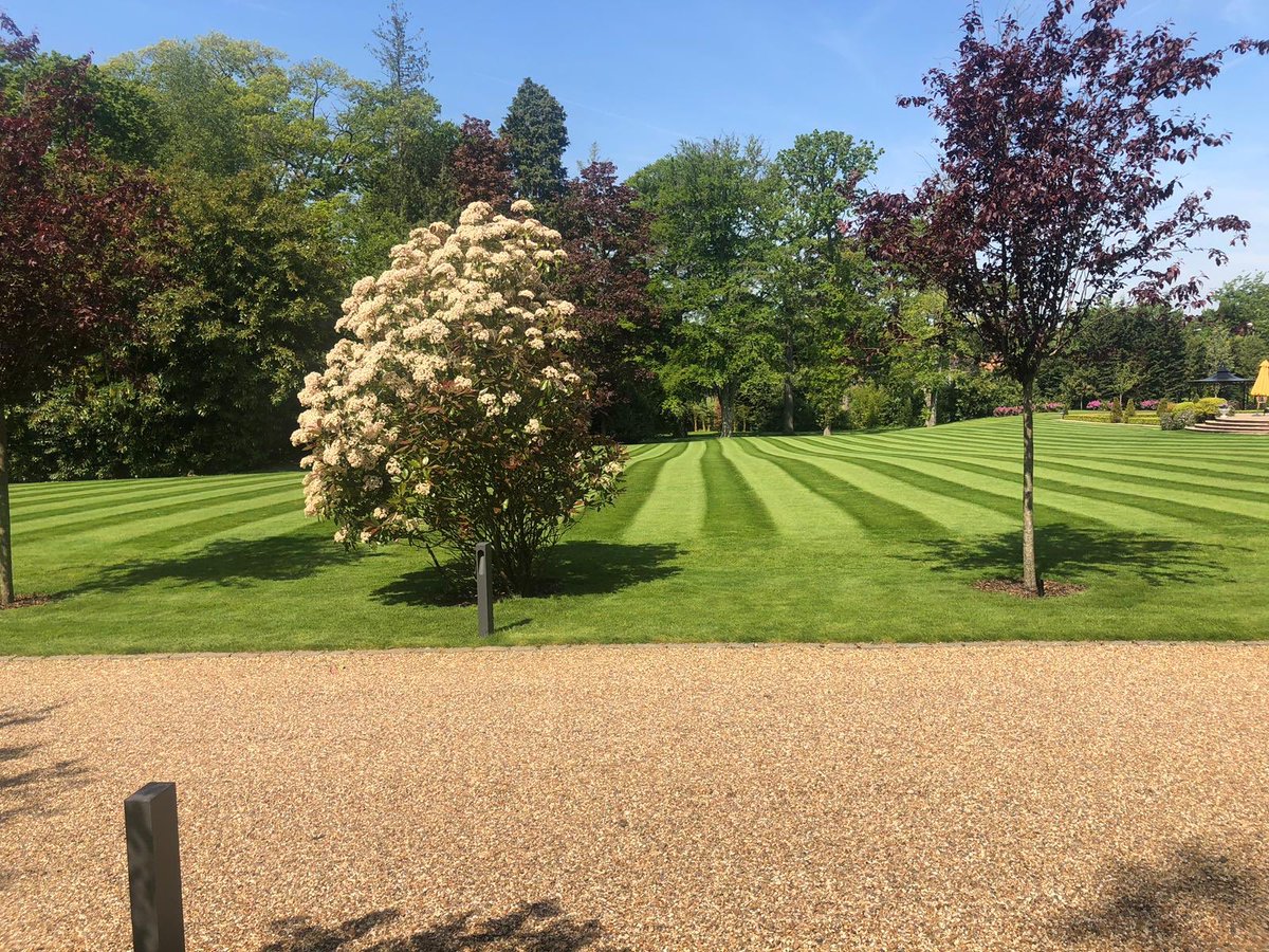 Inscapesonline's tweet image. Back down in Windsor this week maintaining new lawns and planting specimen trees in entrance #clientconfidence