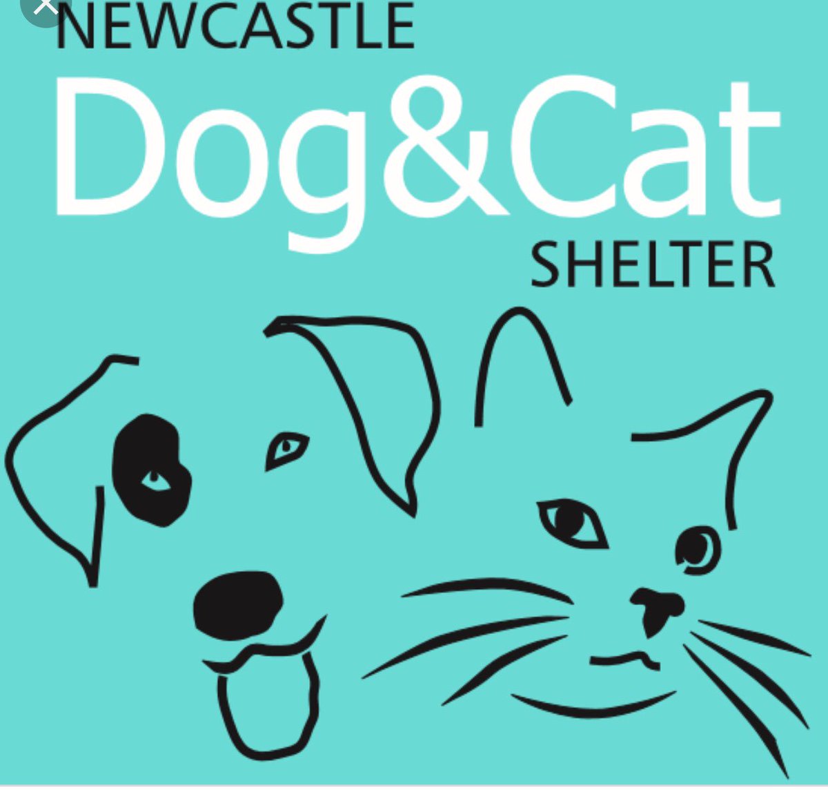 SilxTeen's tweet photo. Another four young people on our volunteering programme today at Newcastle Cat and Dog shelter! Well done, always working hard! #workexperienceprogramme #skillwork #cvenhancement https://t.co/ZvZDQPJs1I