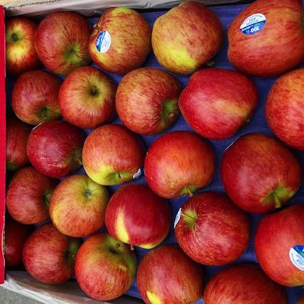 Fruit Vision tweet media