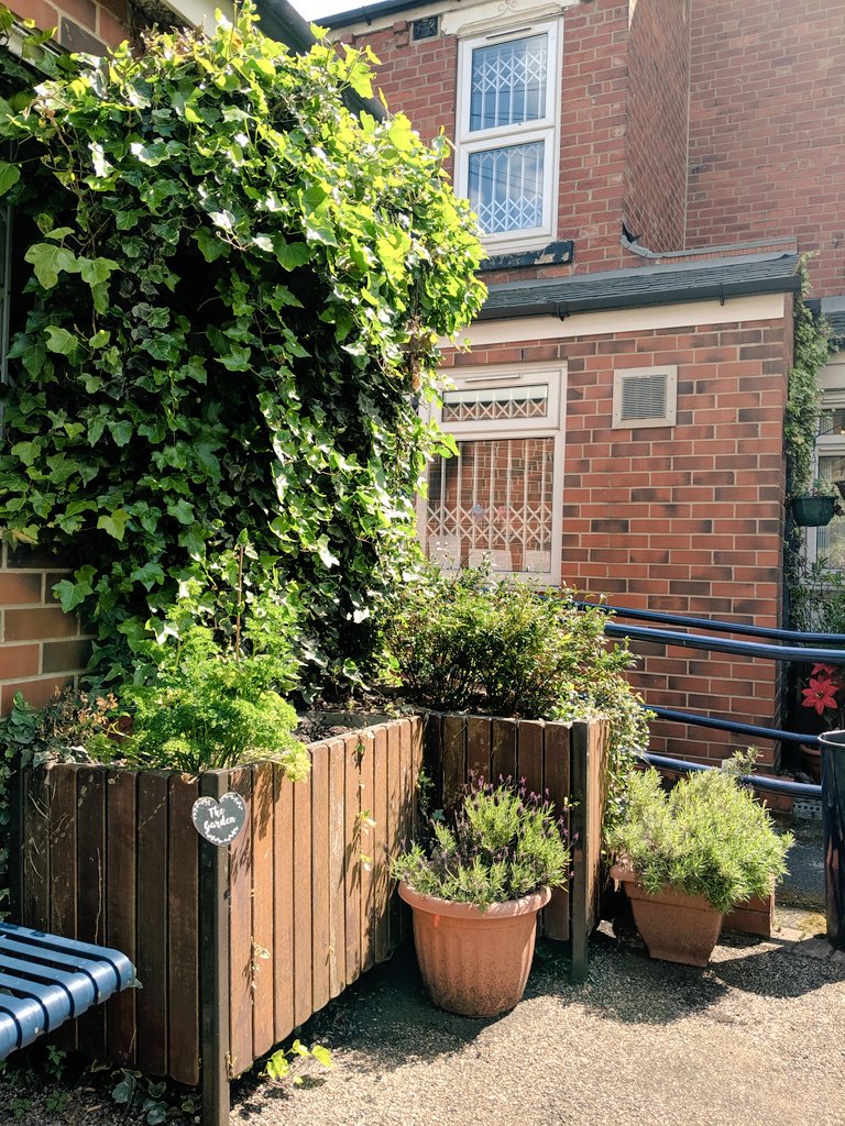 Touchstone_SC's tweet image. The sun is shining and we are appreciating the herbs and plants flourishing in the garden at Support Centre 🌿🌞🌻 Men's group work really hard to maintain our outdoor space for everyone to enjoy and we want to say a big THANK YOU!