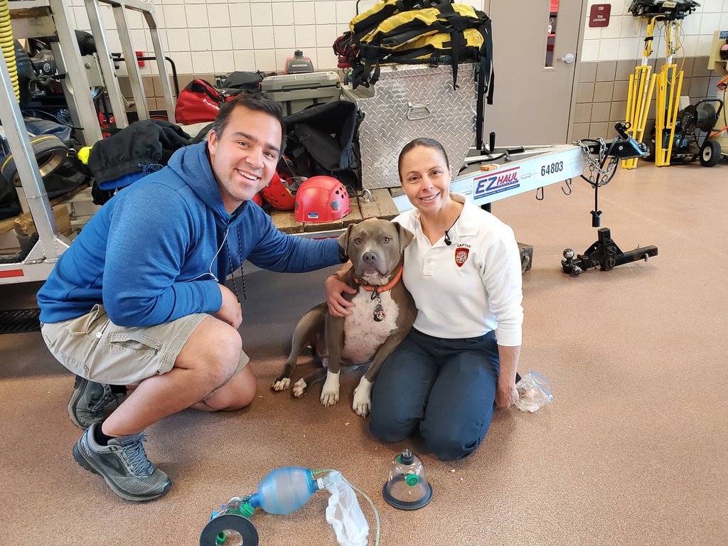 EmmyReports's tweet photo. I'd say that morning photographer @MarkOlexik and I were happy with our assignment! Captain Tina Hamlin and Jethro from the @CityofDurhamNC fire department joined us for a demonstration. I'll explain how a few tools can save your pet exposed to smoke, ahead on #WRAL at noon. https://t.co/VawFdNJxKc