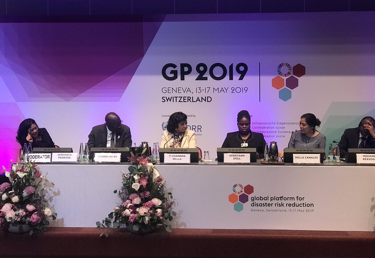 ’To ensure no one is left behind, institutions &amp; organisations on the ground need to have the capacity to act.’ Nella Canales from <a href="/SEIresearch/">Stockholm Environment Institute (SEI)</a> at #GP2019Geneva