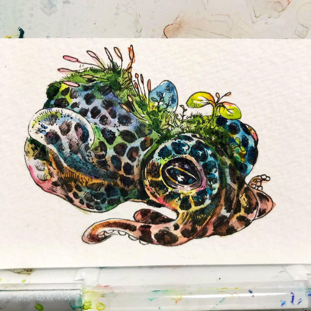 Twoucan 芽生えの頃 の注目ツイート イラスト マンガ Twoucan 芽生えの頃 の注目ツイート イラスト マンガ