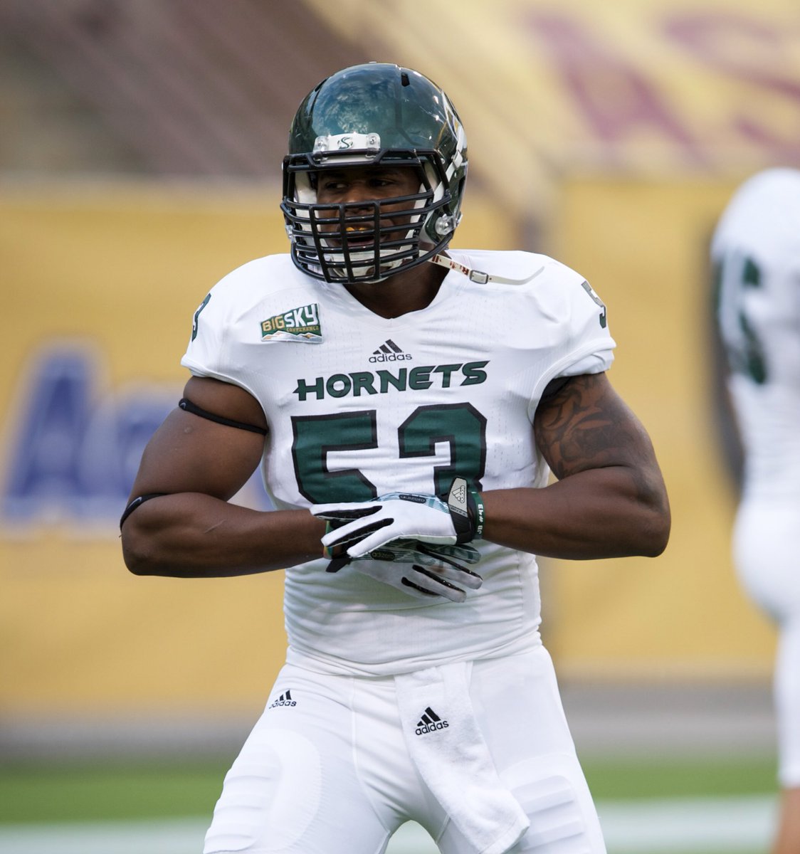 CoachCherokee's tweet photo. #SacStateThrowback:
Todd Davis, a NFL linebacker for the Denver @Broncos, played college football at Sacramento State. He finished his collegiate career ranked 2nd in school history with 351 tackles (157 solo), earning himself 1st Team All-Big Sky Conf selection. #MadeAtSacState https://t.co/TLEgM8xB39