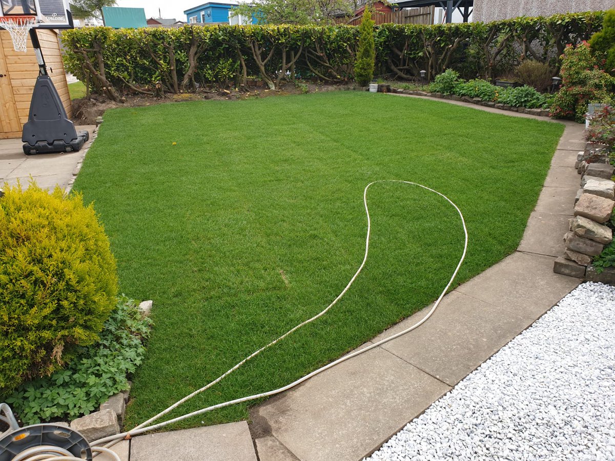 SDProjects's tweet image. Some before and afters of the S&amp;amp;D crew getting busy with some new driveways and lawns. Don't hold hold back on the opportunity for your driveways or lawns to look this good!😉