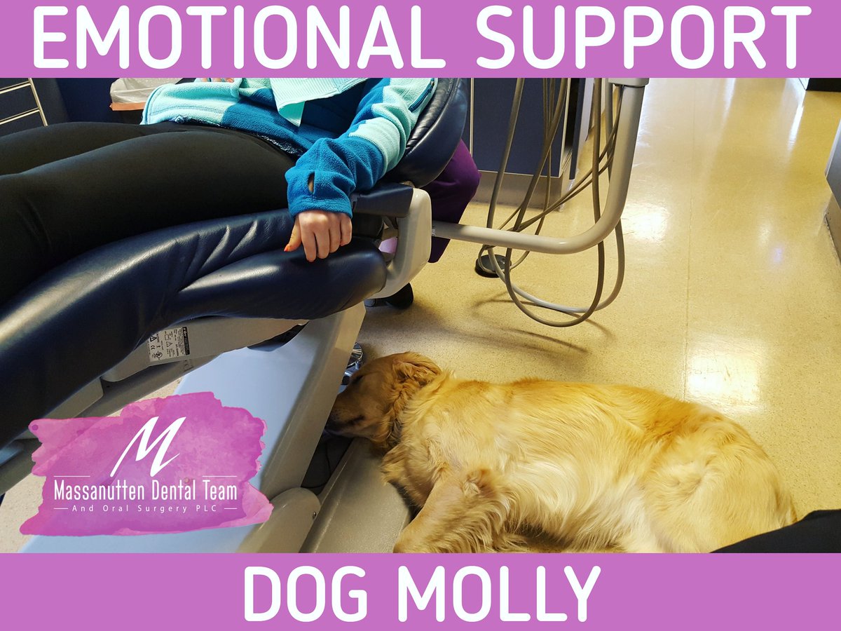 Massdentteam's tweet photo. Emotional support #dog Molly is working #early this #morning. 🐶🌞

Being right by a patients side.❤ https://t.co/lJ2r6JUbZc