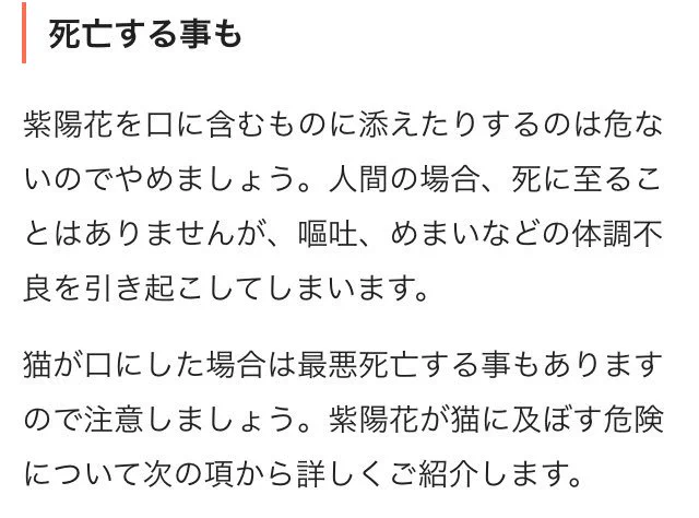 【注意喚起】紫陽花は猛毒！！ペットがクンクンしてたら注意して！