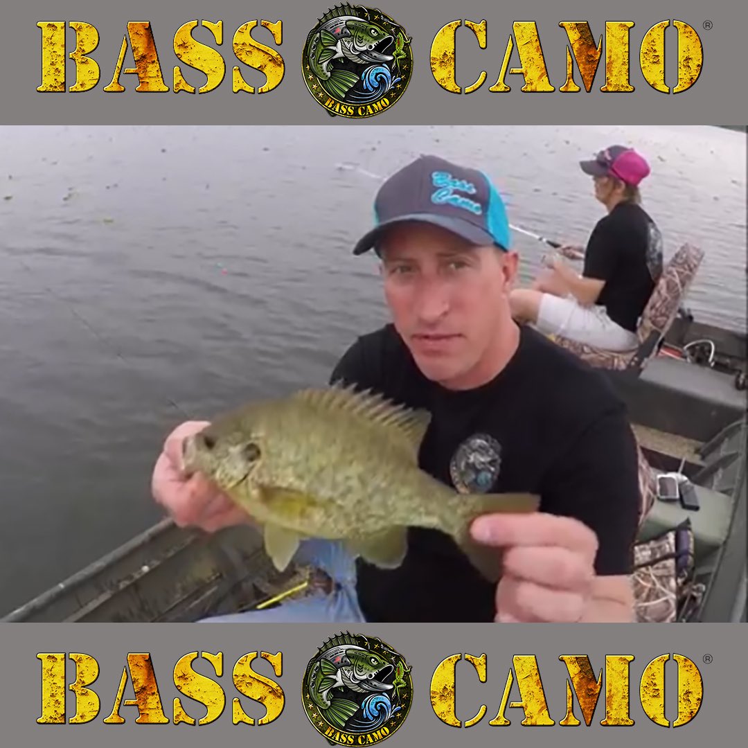 BassCamo's tweet photo. WOW now that's a HUNK of #slab 👊This #redear sunfish is certainly not missing any meals 💥BOOOOM💥here's the full length video link below of this absolute #slabfest from #teamMcIntosh https://t.co/5UeEpeouHk https://t.co/0NmU8DNr1d