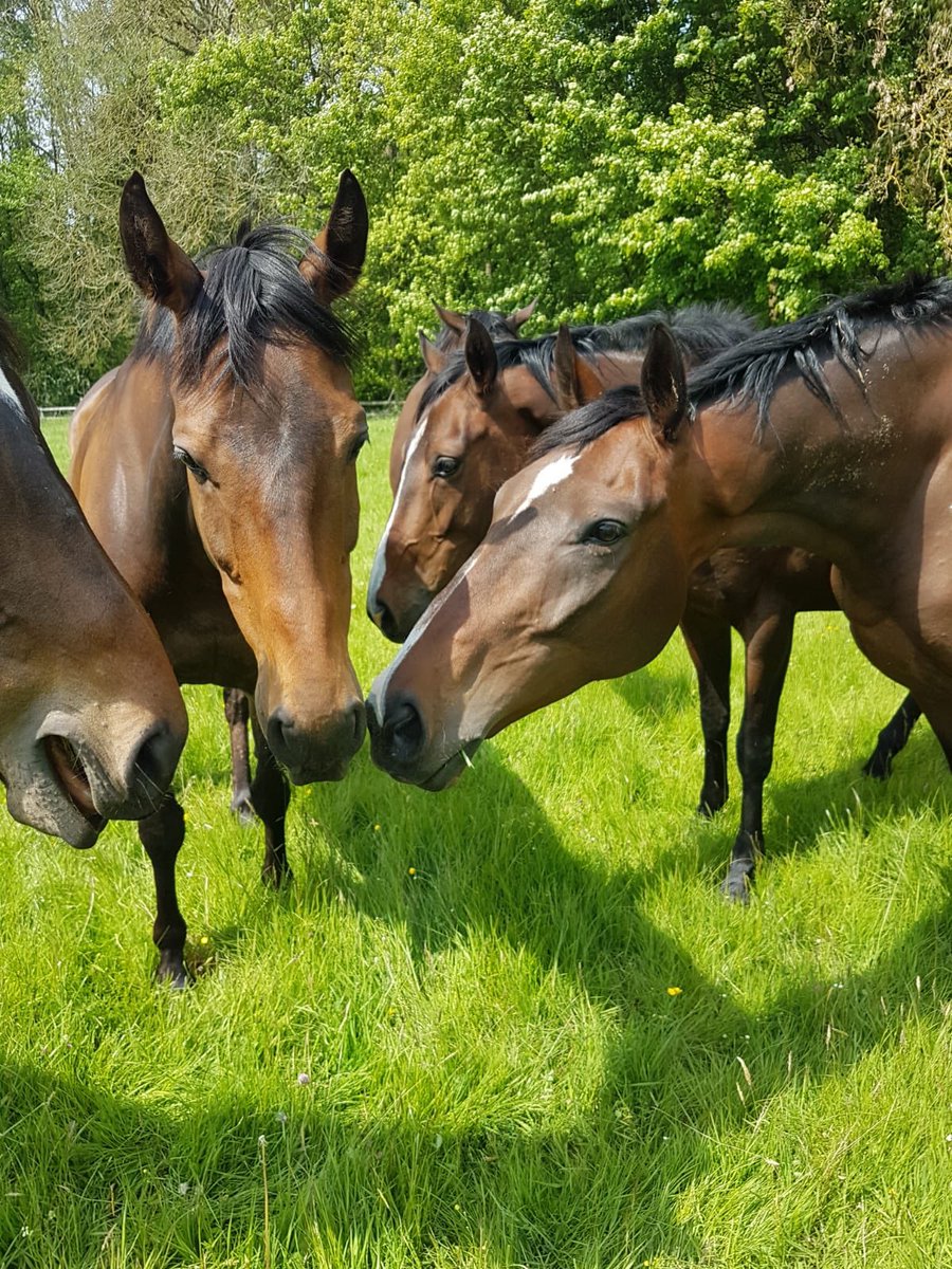 jamiesnowden's tweet photo. Lovely to see some of the boys enjoying their summer holidays. #DeservedRest https://t.co/EGIAlI31Va