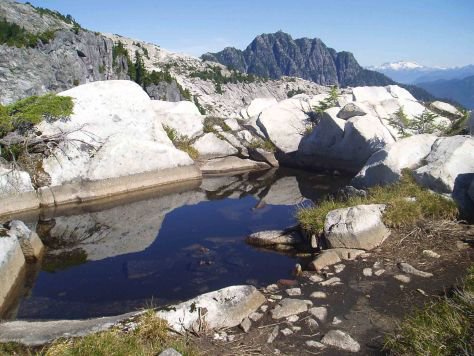 Summer scrambling is right around the corner, #NorthVan
Do you know where Mt Burwell is? Coliseum Mountain? Read on!
@NorthShoreNews @outdoorvan #optoutside #vancouverviews #hiking #exploreBC @LynnValleyLife @georgiastraight @VancouverSun @MetroVancouver 

bctreehunter.wordpress.com/2015/02/19/bur…