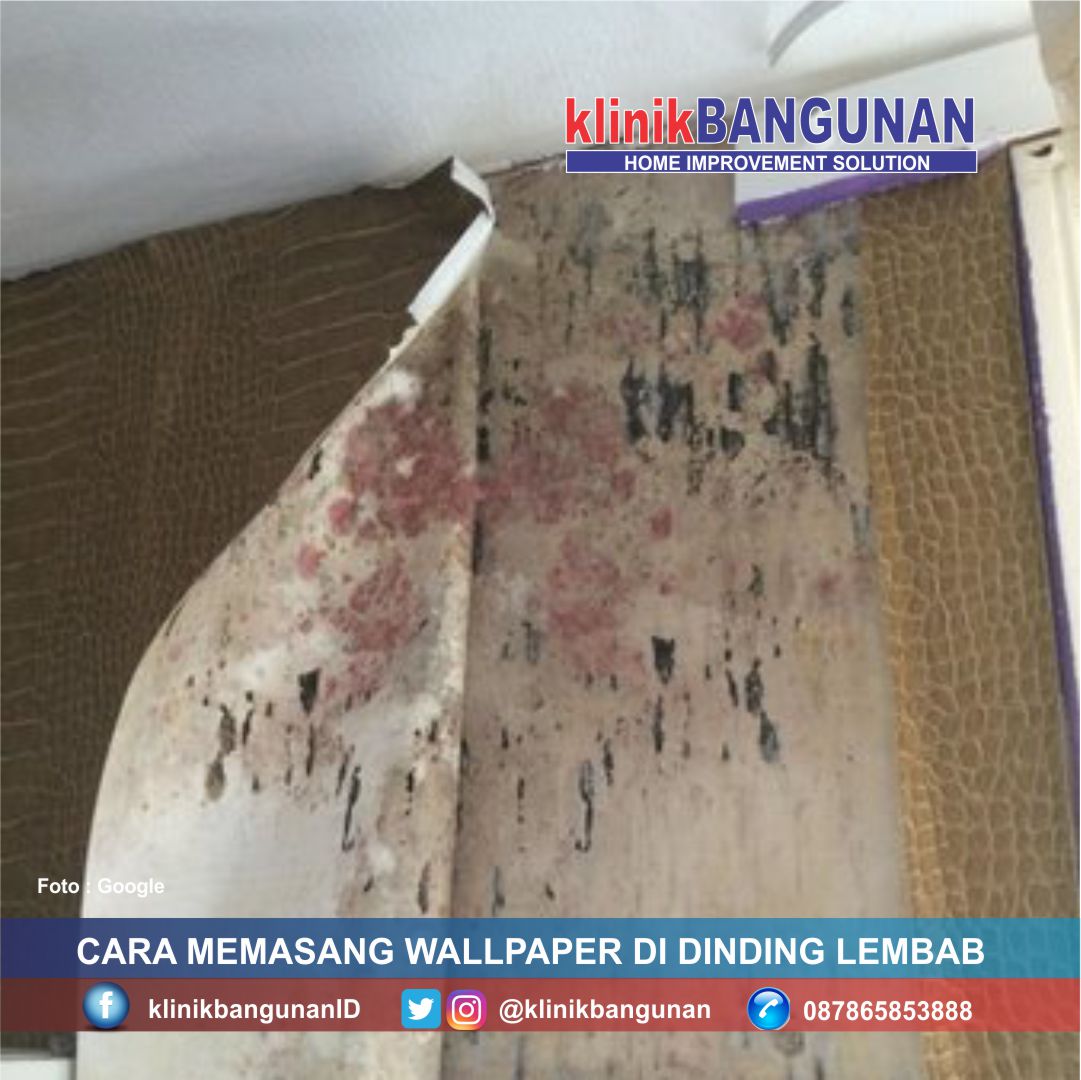 236 Wallpaper Untuk Tembok Lembab Picture - MyWeb