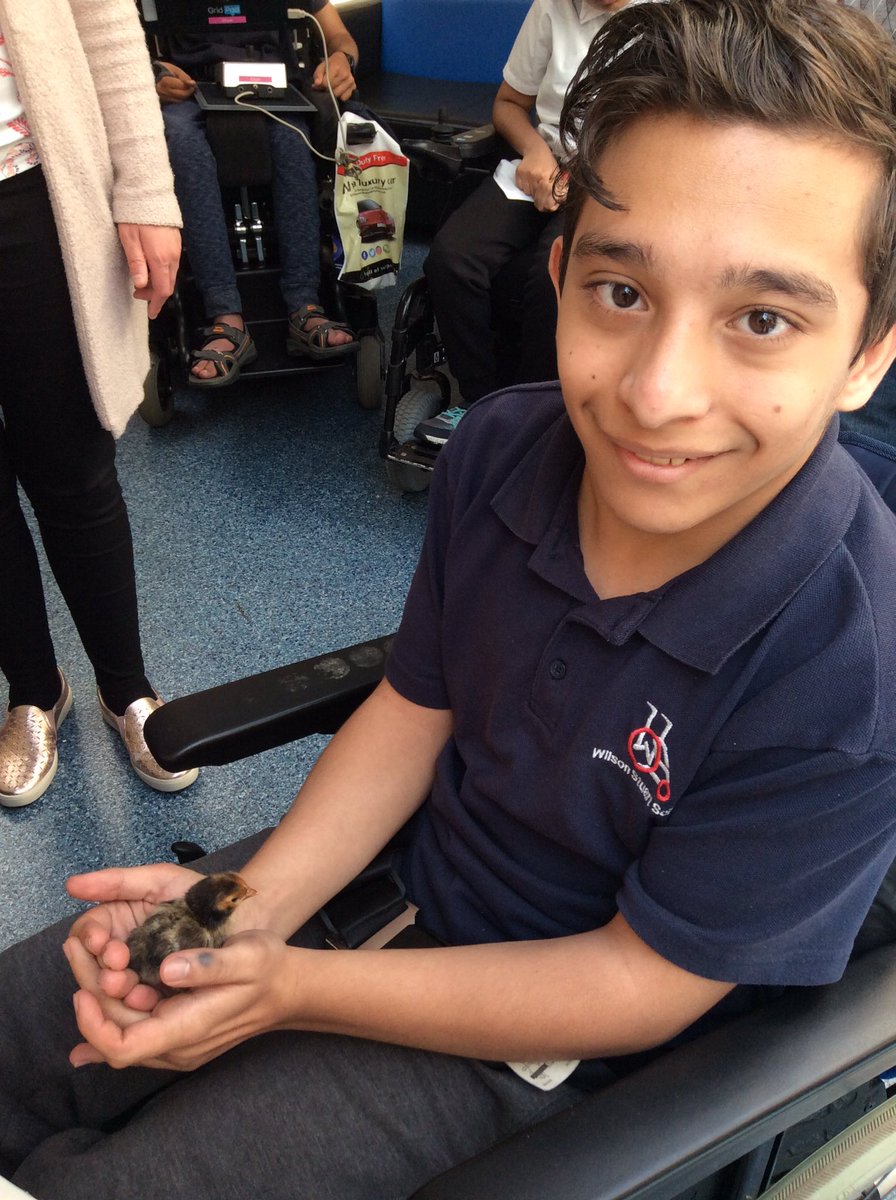 wilsonstfeed's tweet photo. 4.3 Students have enjoyed meeting the chicks today🐥 #wsscience https://t.co/qBjIf9F6LA