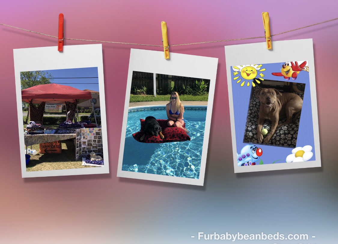 Furbaby Bean Beds LLC tweet media