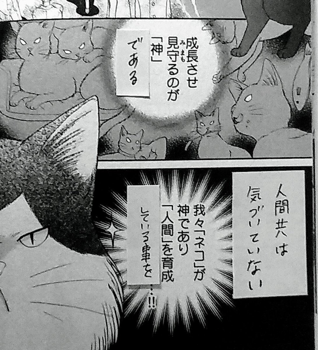 引き続きRTいいねありがとうございます!というか!もう一ヶ所写植ミスがありまして!(笑)これが正解です。 