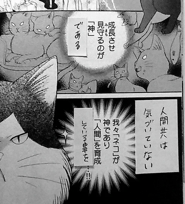 引き続きRTいいねありがとうございます!というか!もう一ヶ所写植ミスがありまして!(笑)これが正解です。 