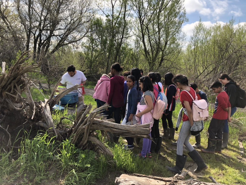 MotalaSM's tweet photo. Grade 6 students @springbrook on a Wetlands excursion learning about native species @SpringbrookEco @PeelSchools #WeInspire environmental stewardship @PDSB_eco https://t.co/Wrt34h3xGF