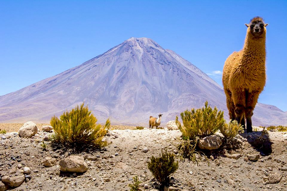 La mejor época para visitar San Pedro de #Atacama. Clima 
y consejos acá➡ bit.ly/2VJN7Qv
<a href="/Artenorte/">Arte Norte</a> <a href="/DeSanPedroAtacm/">San Pedro de Atacama</a> <a href="/TurismoEnChile/">Turismo en Chile</a> <a href="/achilepoh/">AChilepoh</a>
