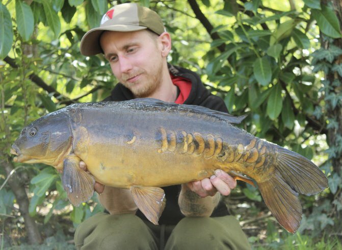 karperltd's tweet photo. It’s great to see some of the old warriors and a new stockie Common come out of your local lake. Consultant Kyle Hemingway bagging a few of his last session. #carpfishing #karperltd https://t.co/hdYaCng4lx